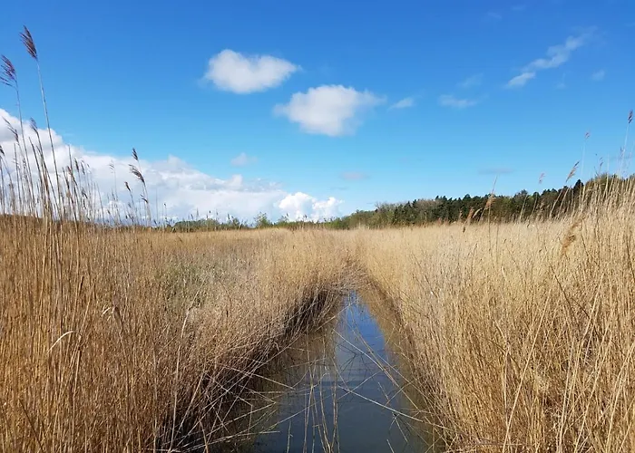 Apartament Koscielna 52 Mielno (Koszalin)