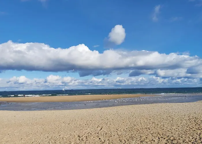 Apartament Koscielna 52